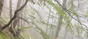 IMG-20250914-WA0003