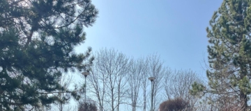 WhatsApp Image 2026-03-13 at 08.16.03